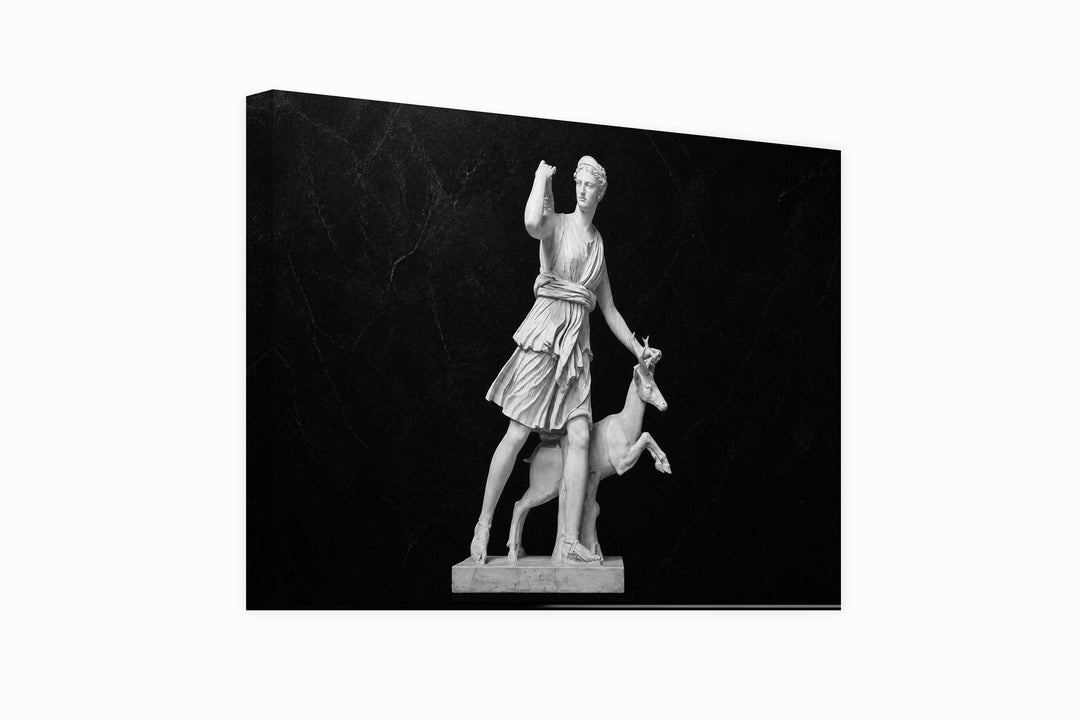 Artemis in Focus