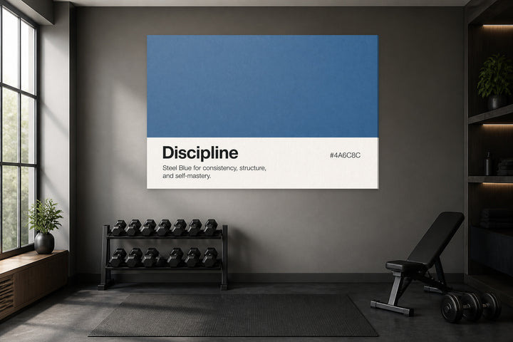 Culorile disciplinei