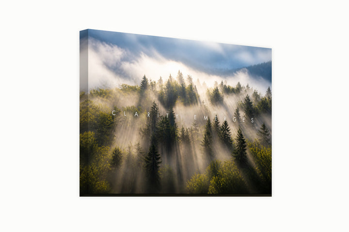 Clarity From the Mist