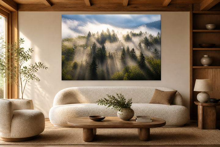 Clarity From the Mist