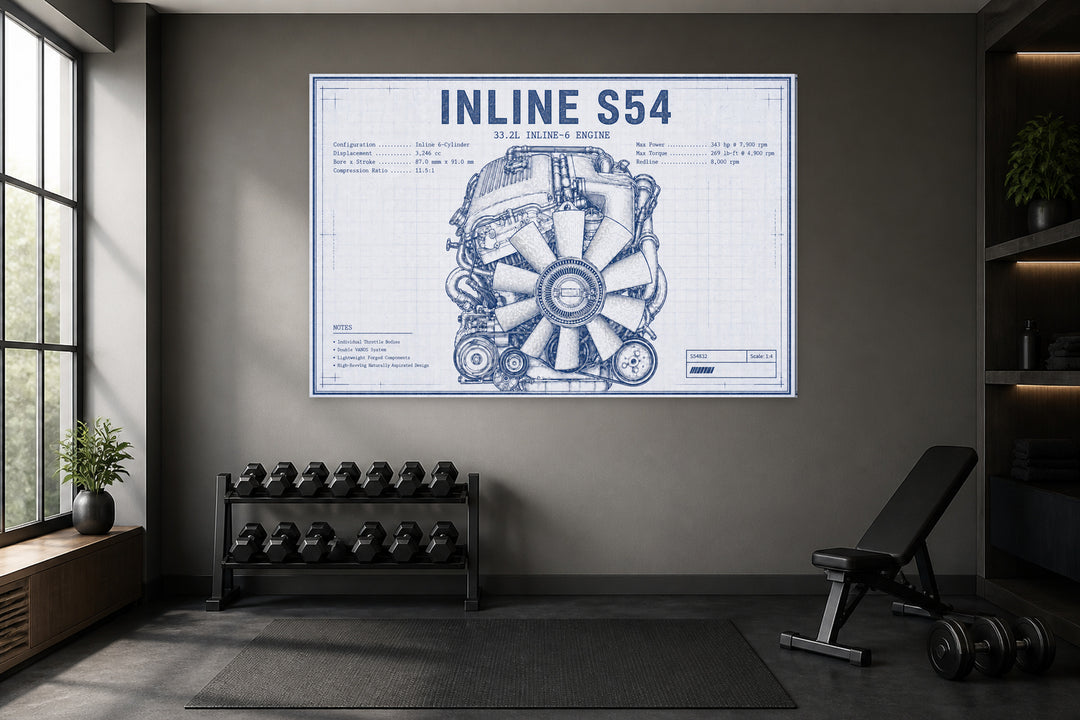 Anatomy of the S54