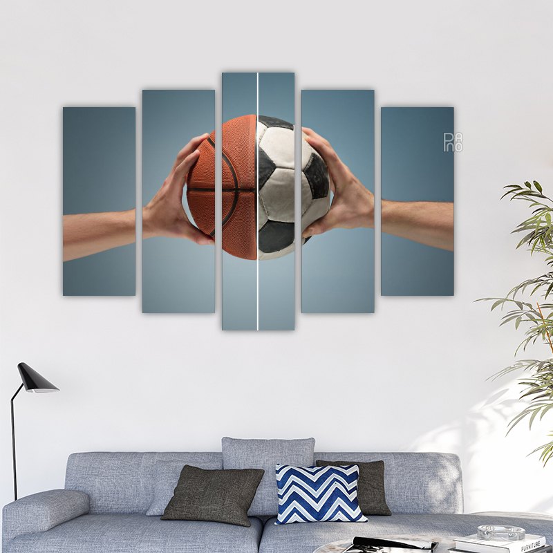 Soccer and Basketball Ball