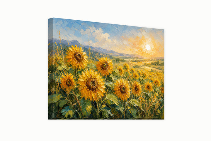 Sunflower field – front view
