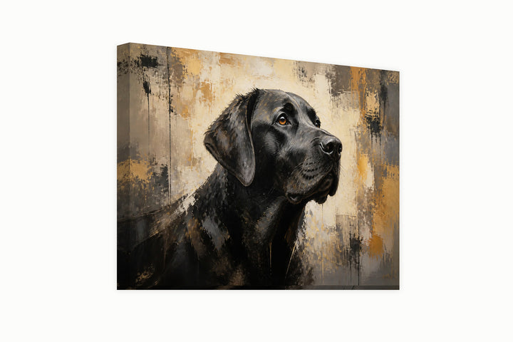 Black labrador – front view