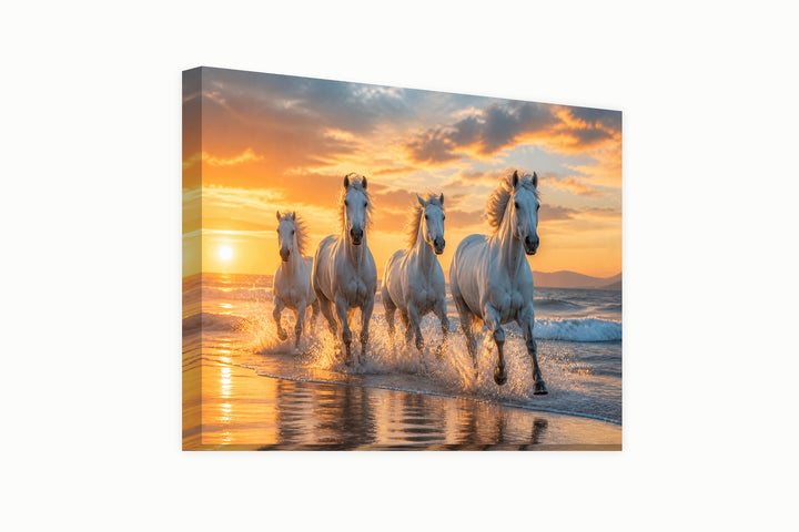 Horses on the beach at sunset – front view