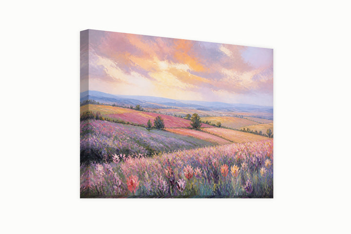 Fields of tulips – front view