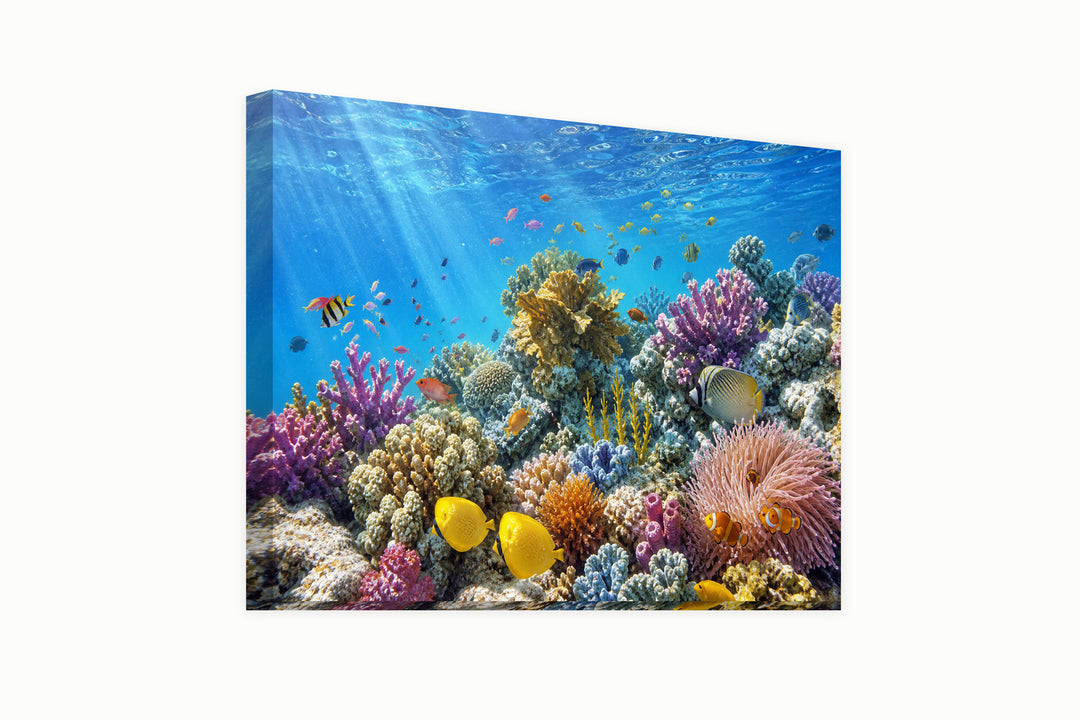 At the bottom of the sea – front view