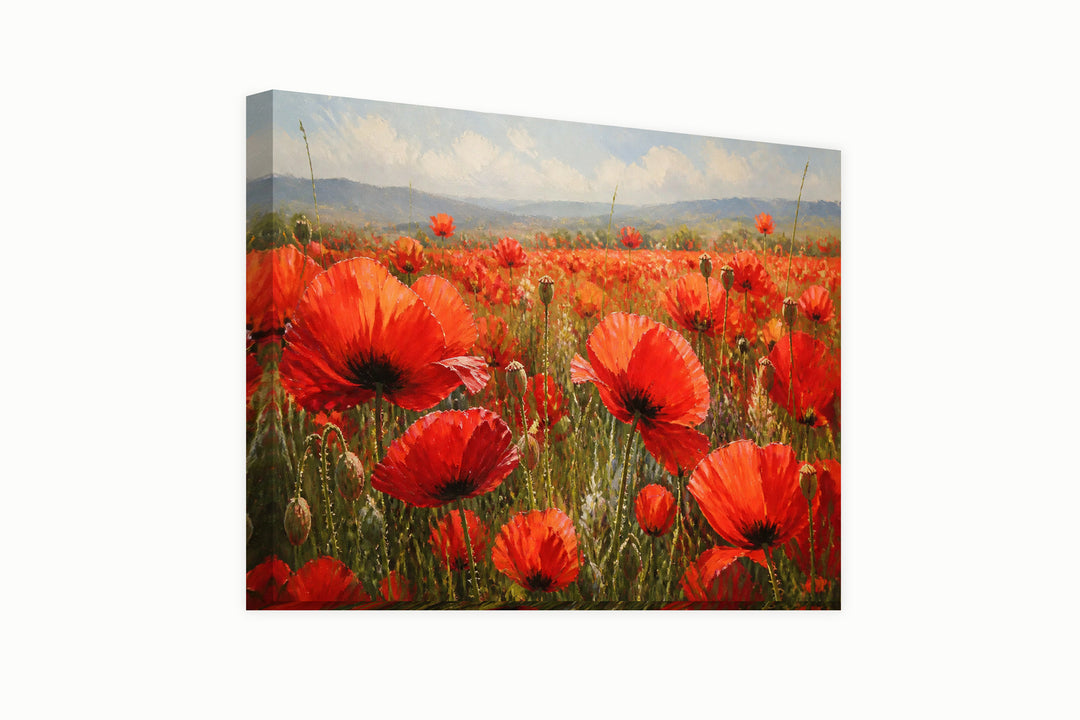 Poppy field – front view
