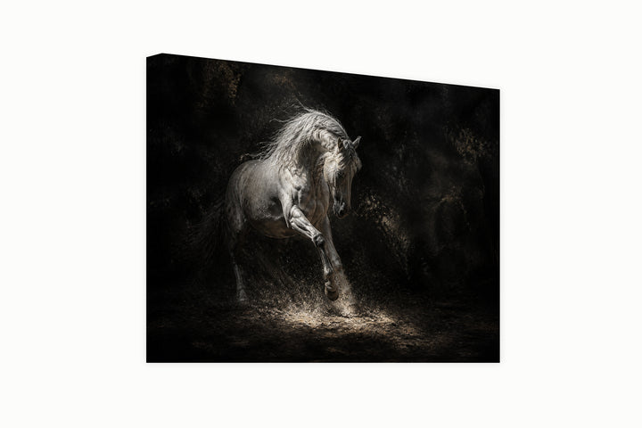 Horse under the reflector – front view