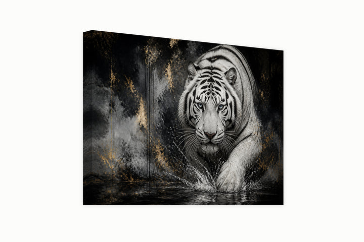 African white tiger – front view