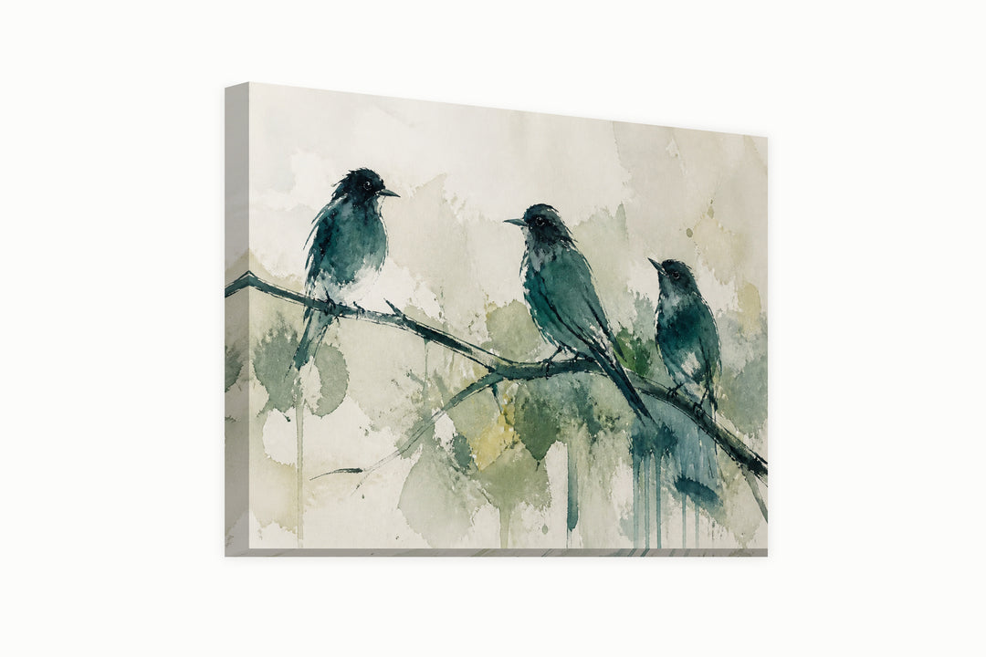 Sketch of three birds – front view