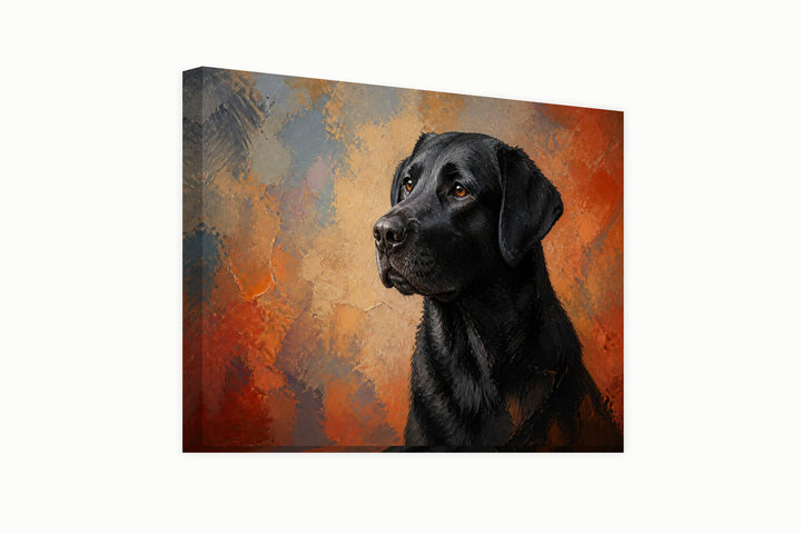 Portrait black labrador – front view