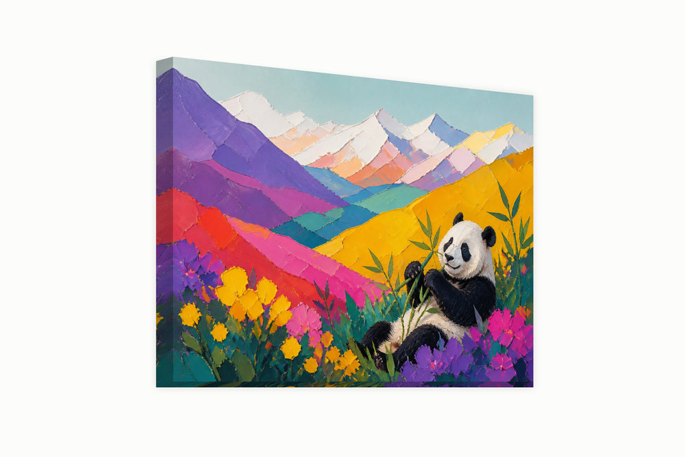 Success of the Panda — Edition 27 – front view