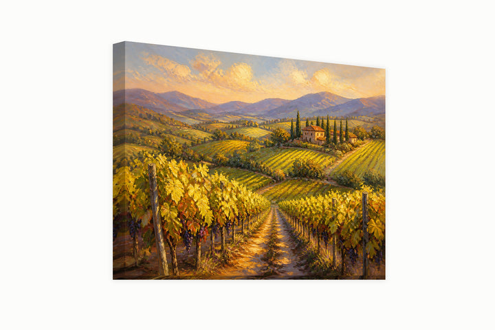 Italian vineyards – front view