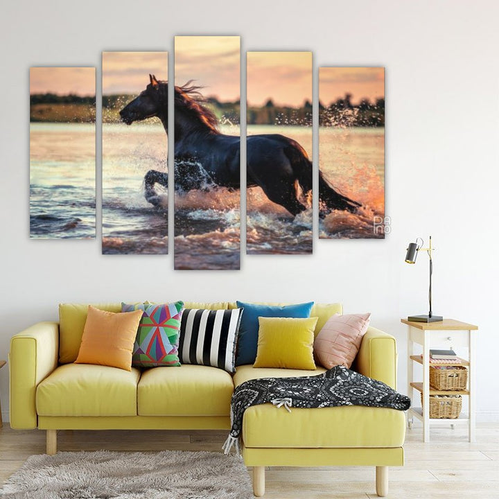 Portrait of a horse in water