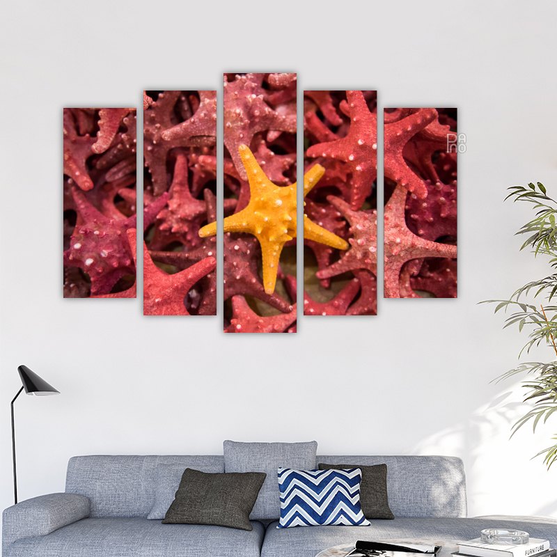 Starfish