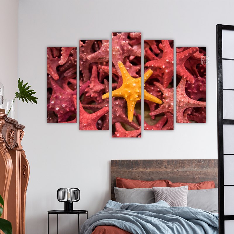 Starfish