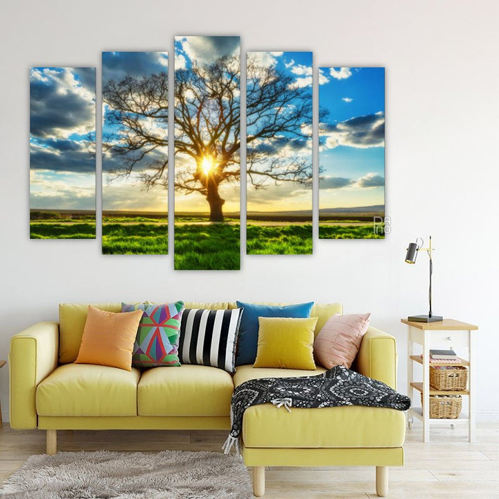 Large Tree in a Field