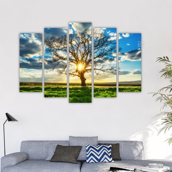 Large Tree in a Field