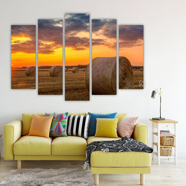 Sunset over a farm field