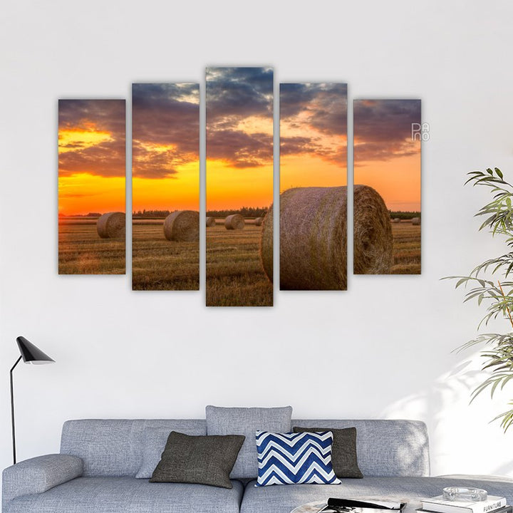 Sunset over a farm field