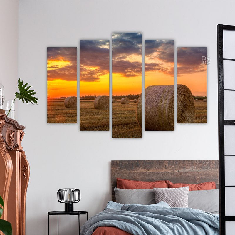 Sunset over a farm field