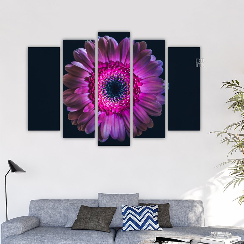 Gerbera flower