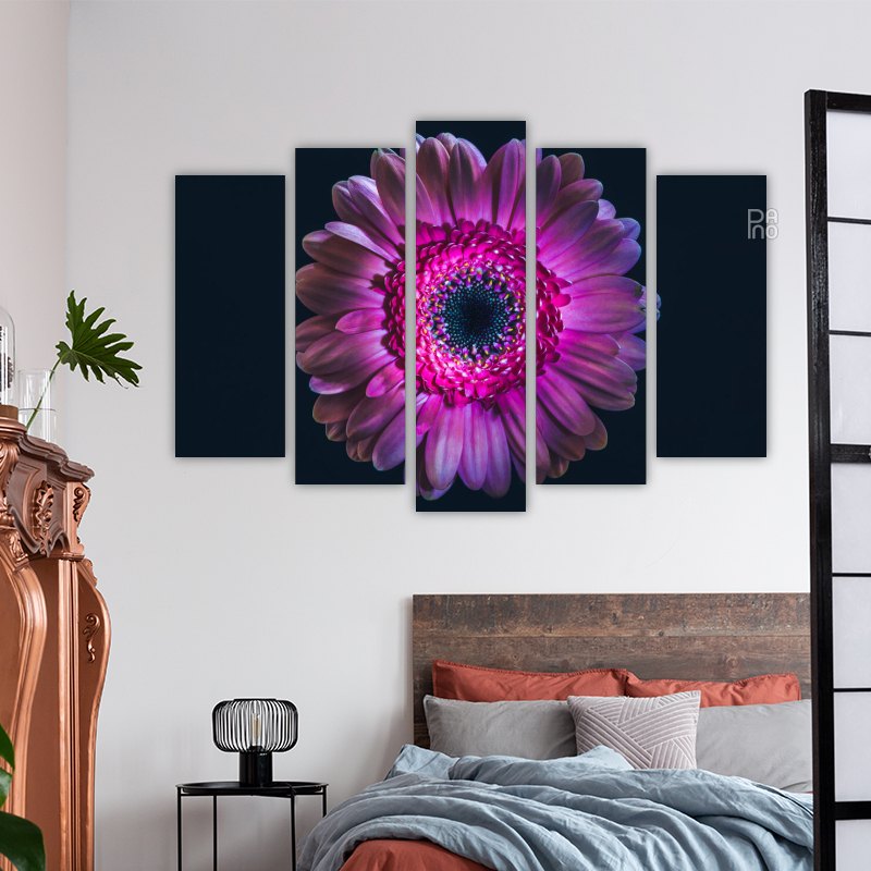Gerbera flower