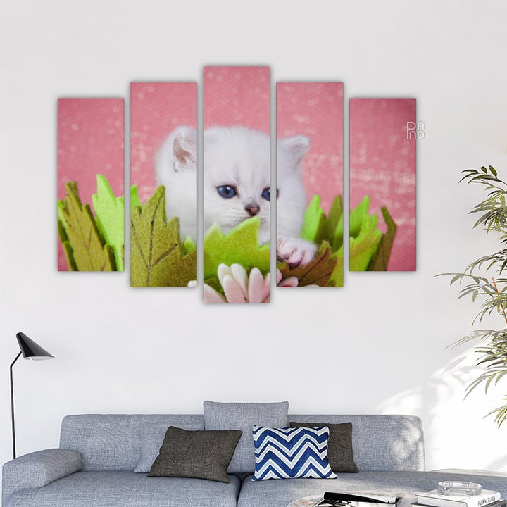 British White Kitten