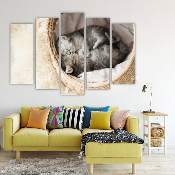 Cute Sleeping Kittens