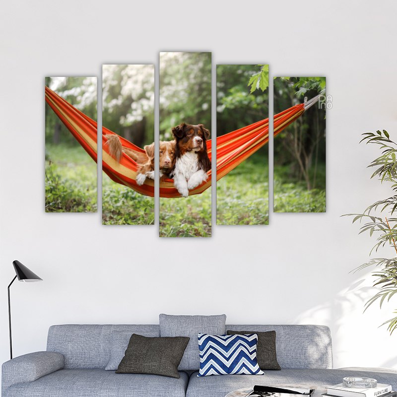 Dogs Lying in a Hammock