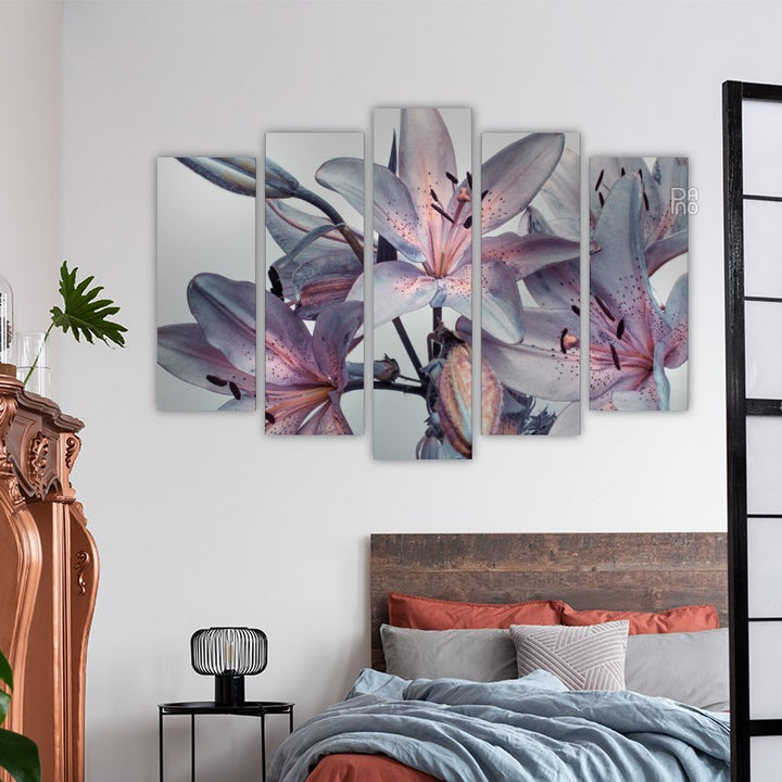 Lilium