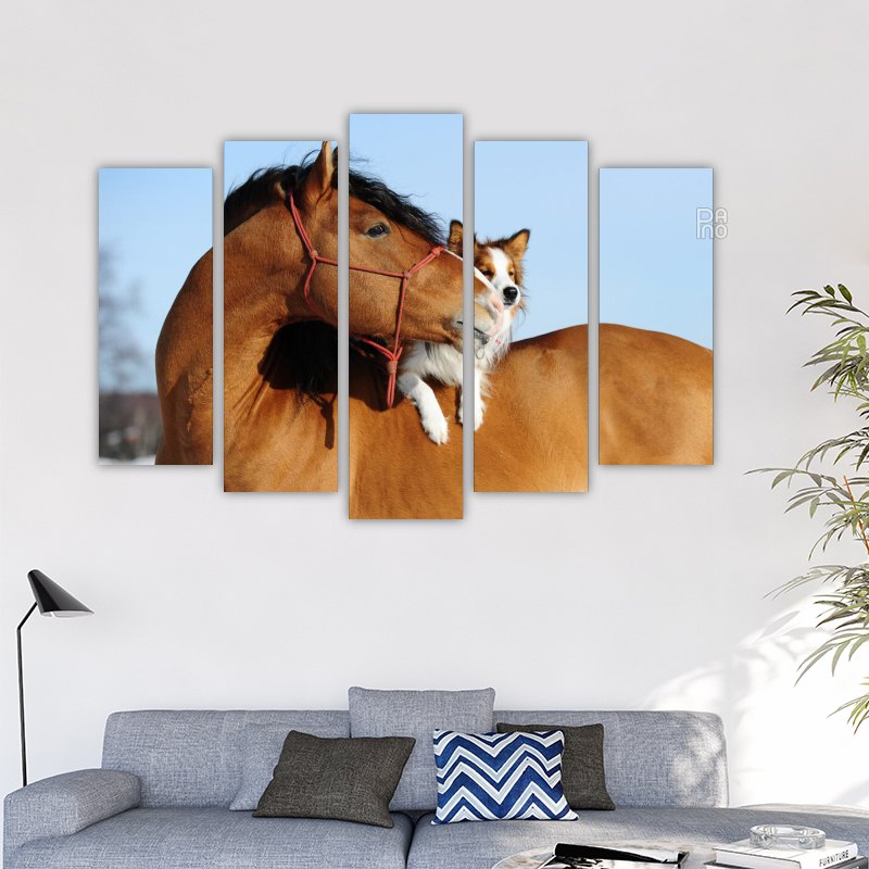 Horse and dog