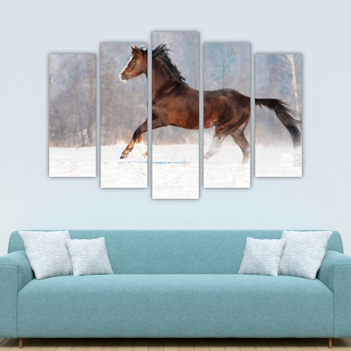 Brown Welsh pony in winter