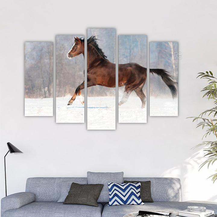 Brown Welsh pony in winter