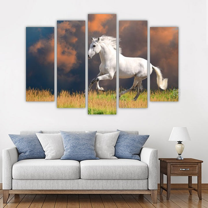 White Andalusian horse