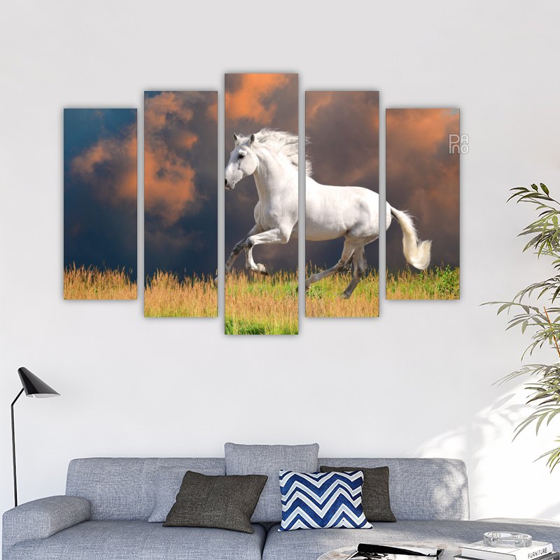 White Andalusian horse