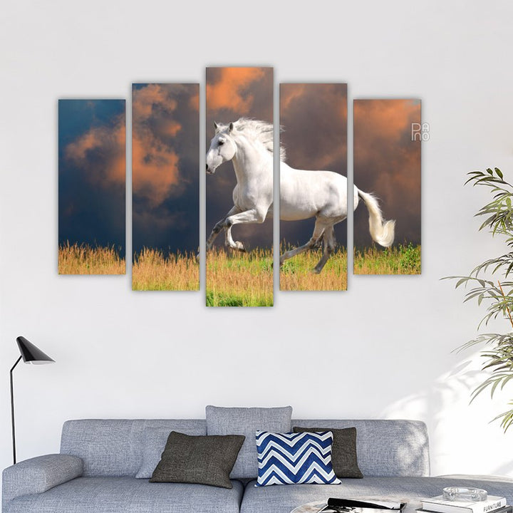 White Andalusian horse