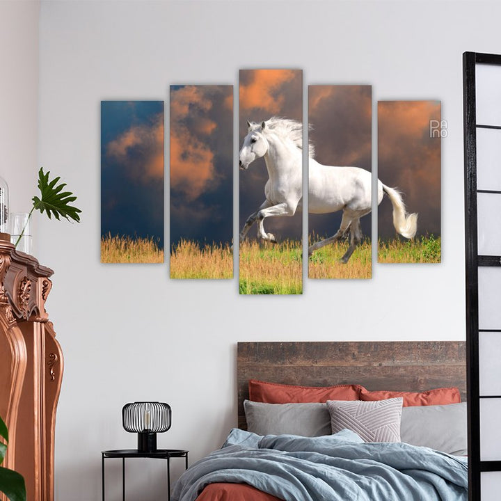 White Andalusian horse