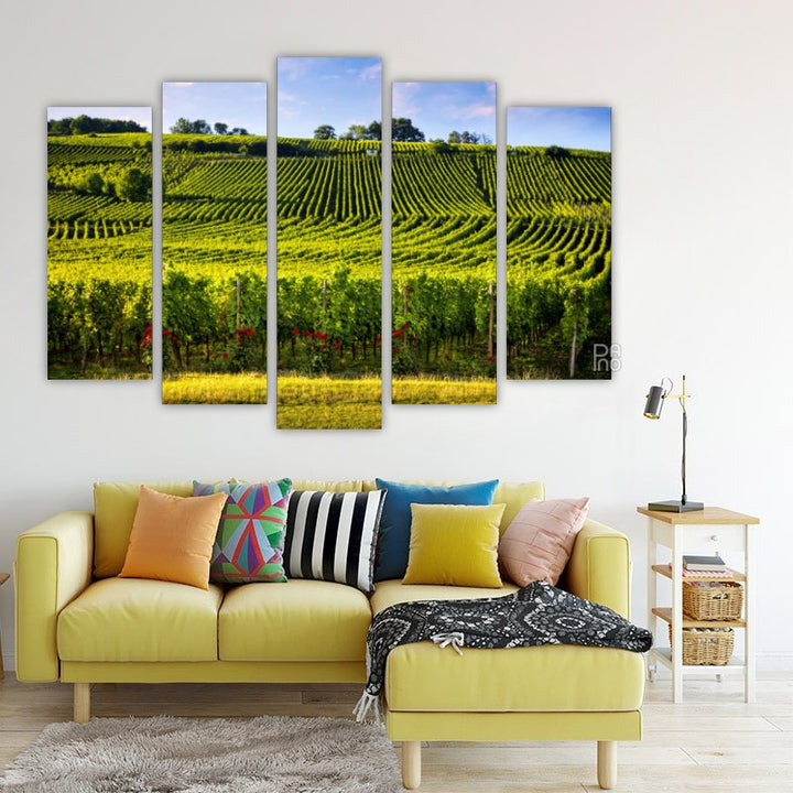 Vineyards and roses