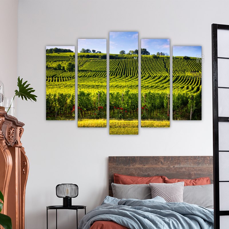 Vineyards and roses