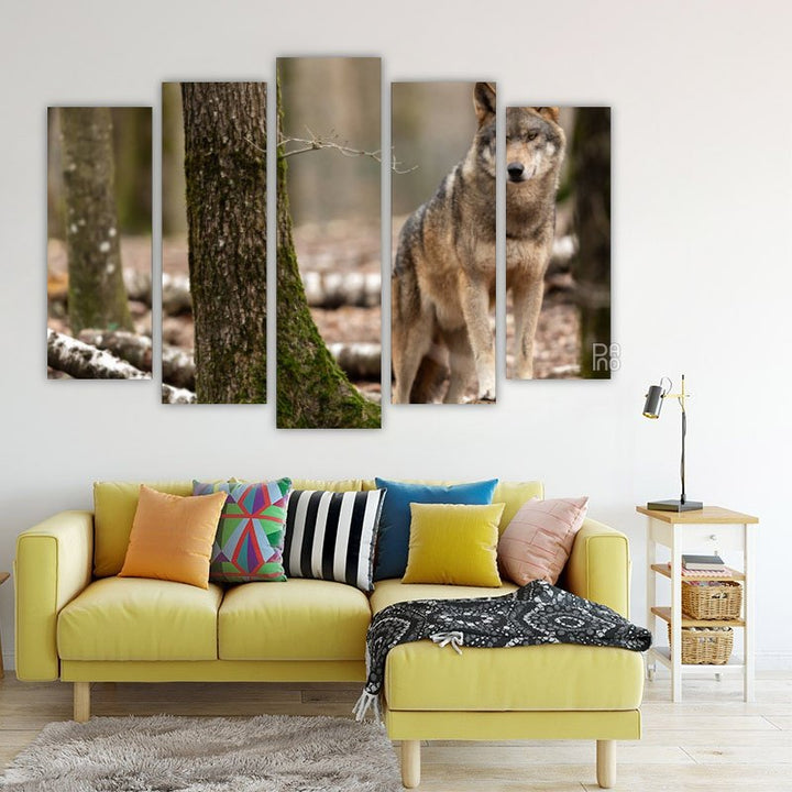 Wolf in the forest