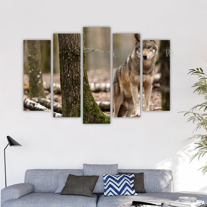 Wolf in the forest