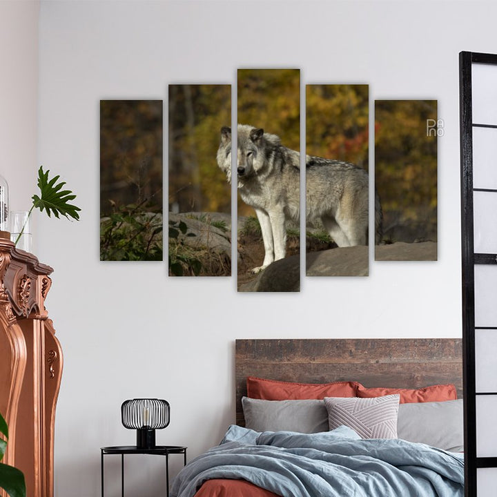 Wolf in the autumn forest