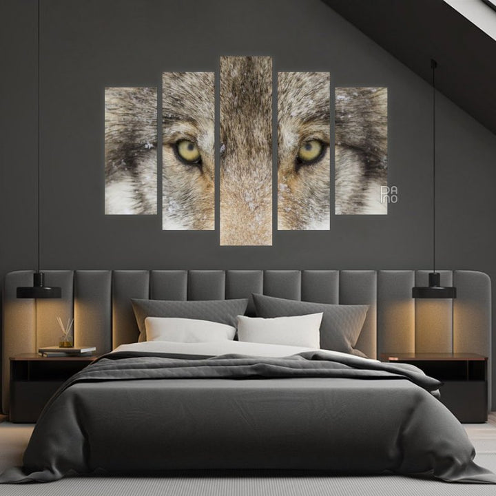 Wolf eyes