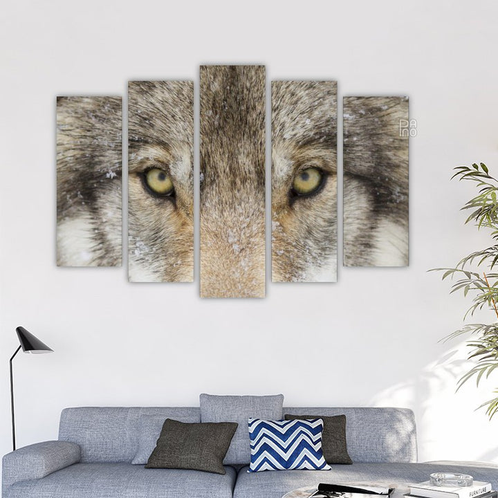 Wolf eyes