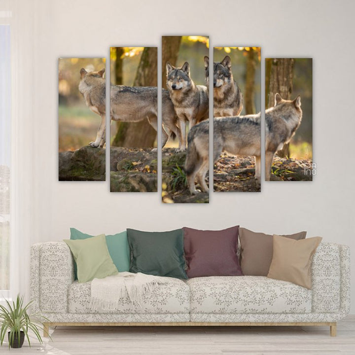 Family of gray wolves in the forest at sunset