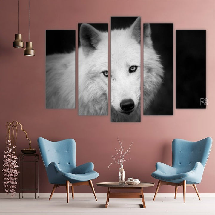 Portrait of a white wolf