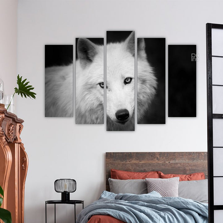 Portrait of a white wolf