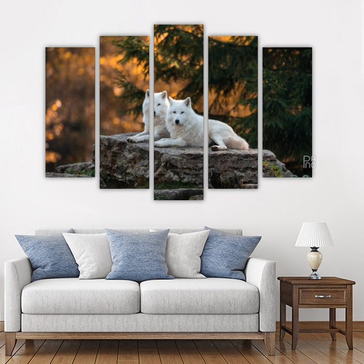 White wolves in the forest